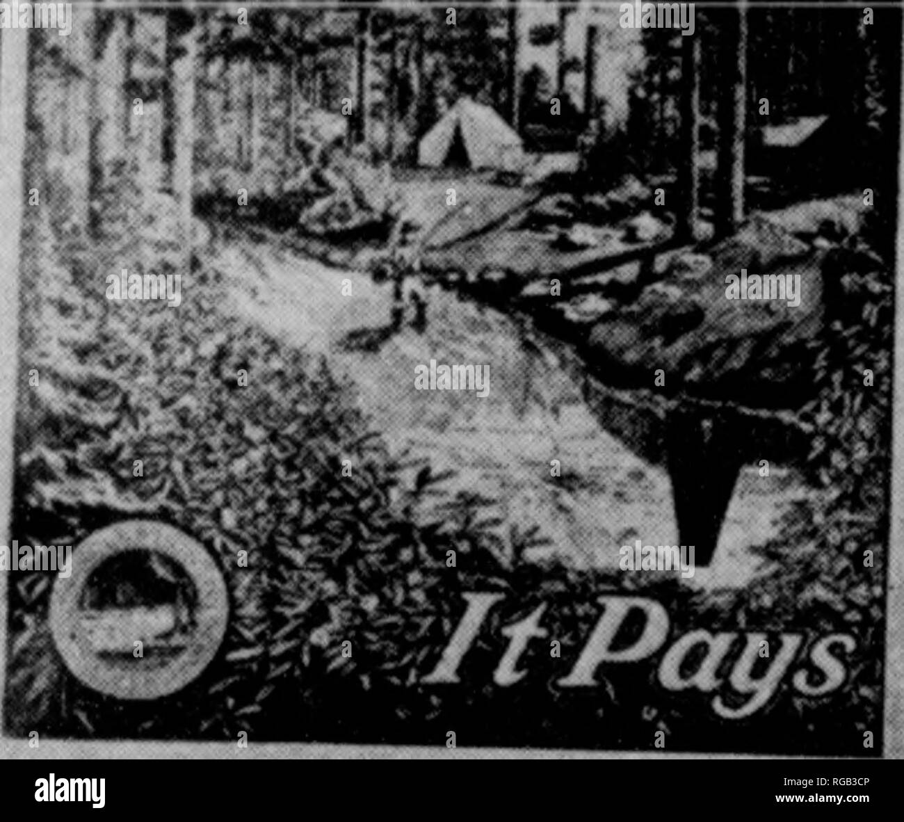 . Bulletin (Pennsylvania Department of Forests and Waters), no. 40-45. Forests and forestry. 22 PREVENT FOREST FIRES ^IT PAYS r [VERYBODY LOSES TIMBIR BURNS. SAVE THF FORPm Do not throw lighted cigarettes, cigars or matches from the cars. [^ $M00 REWARD INFORMATION ARREST arf GMmCIKi Of AWT PERSON tr I Uifommxrcmim INCENDURY FOREST FWE PREVENT FOREST FIRES. HUNTERS &quot;yPPWANTMORgOMg DDFVFMT MR Thrpwin^ away t^ied ; matches and tODocoo F&gt;UTr OUT'T' Nir fire before )«ilni HELP KEEP THi fnyResTs orbbn EVQlYBOPr i LOSES^i when C TIMBER' BURNS 'I DO YOO WANT WORE Fiai?. Please note that thes Stock Photo