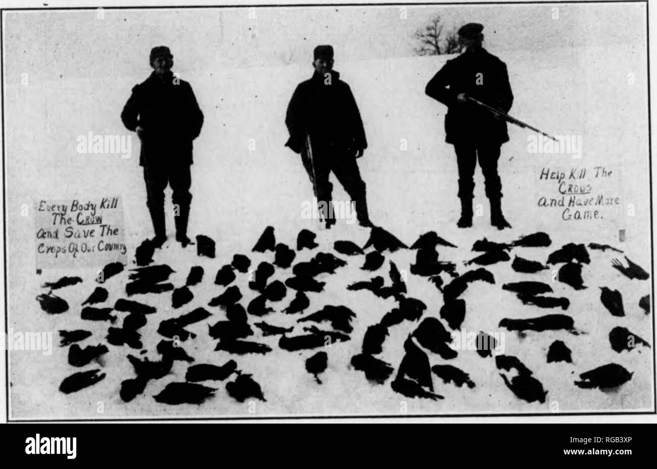 Man pigeons ducks birds Black and White Stock Photos & Images Alamy