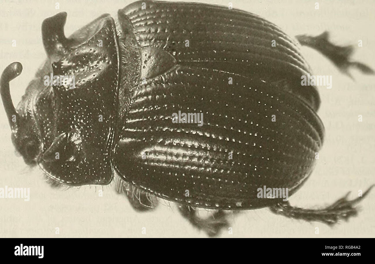 . The Bulletin of zoological nomenclature. Animals. 248 Bulletin of