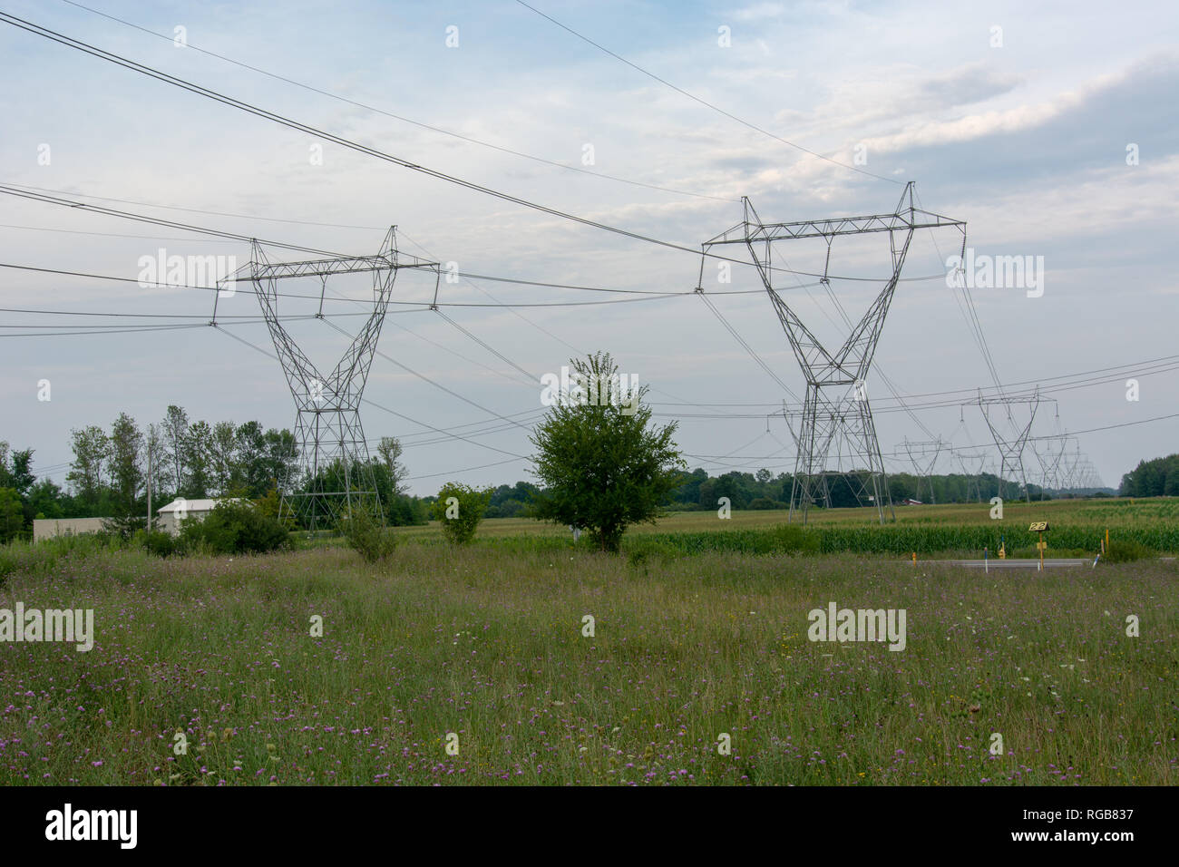 Open wire pole line hi-res stock photography and images - Alamy