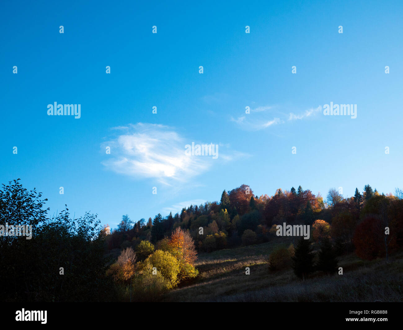 the mountain autumn landscape with colorful forest Stock Photo - Alamy
