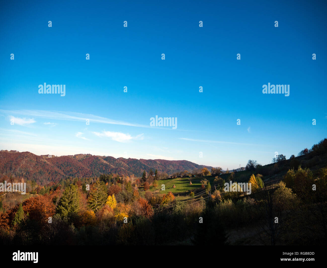 the mountain autumn landscape with colorful forest Stock Photo - Alamy