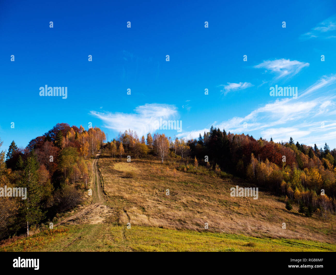 the mountain autumn landscape with colorful forest Stock Photo - Alamy