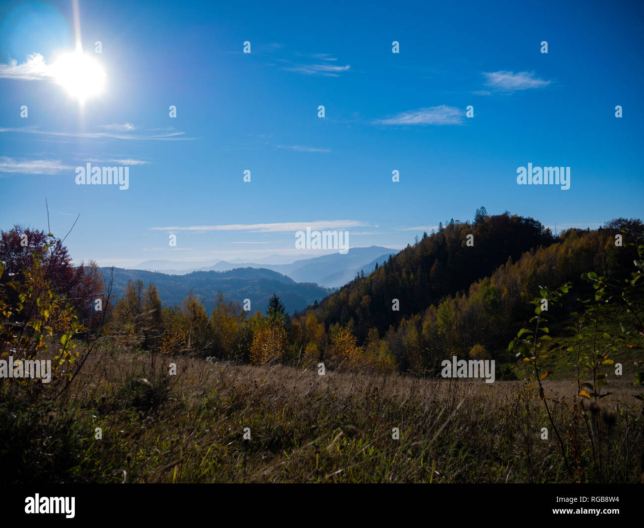 the mountain autumn landscape with colorful forest Stock Photo - Alamy