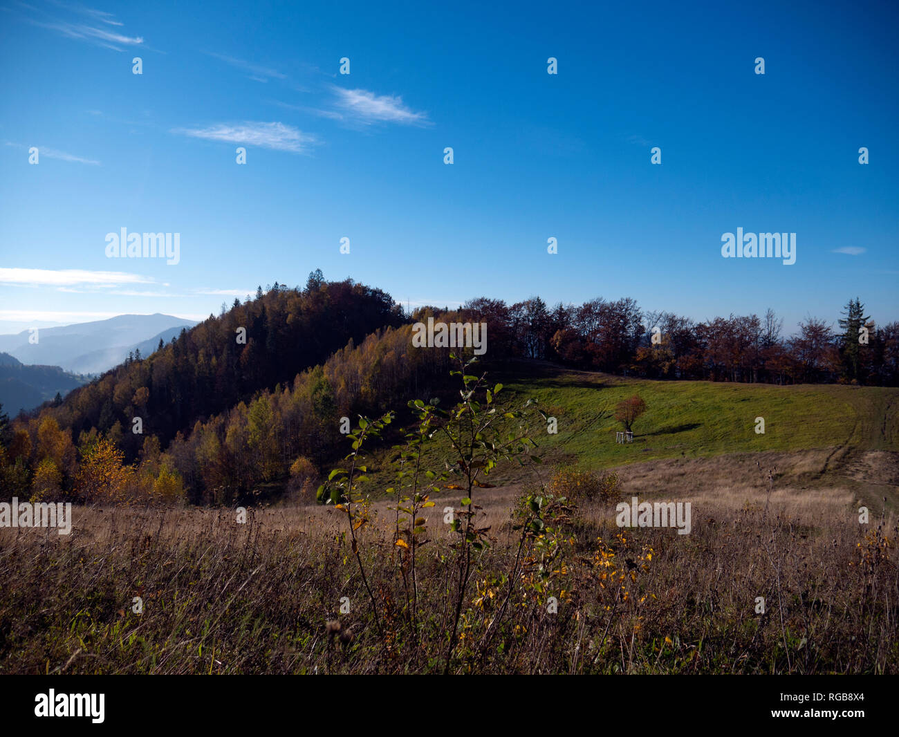 the mountain autumn landscape with colorful forest Stock Photo - Alamy
