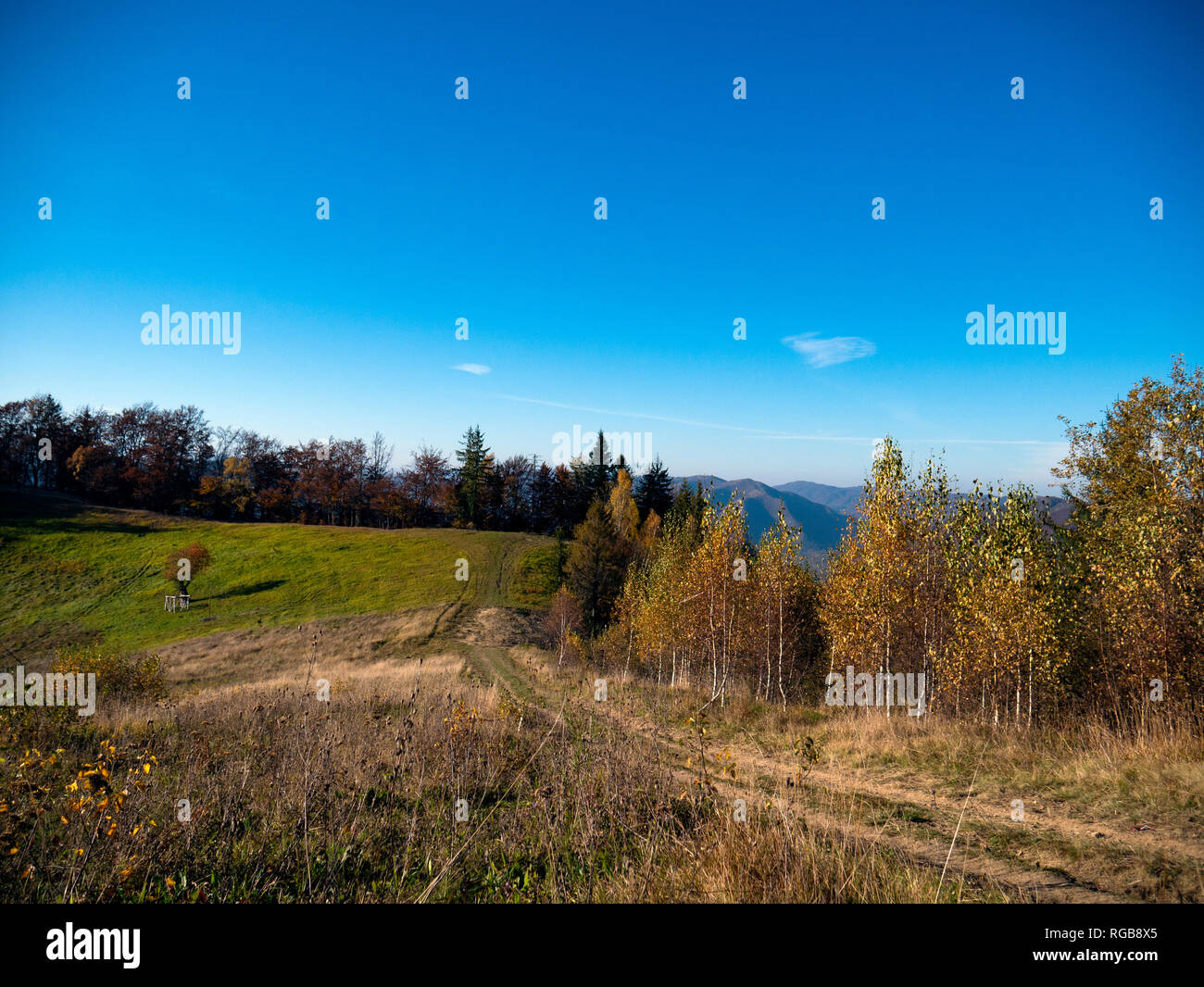 the mountain autumn landscape with colorful forest Stock Photo - Alamy
