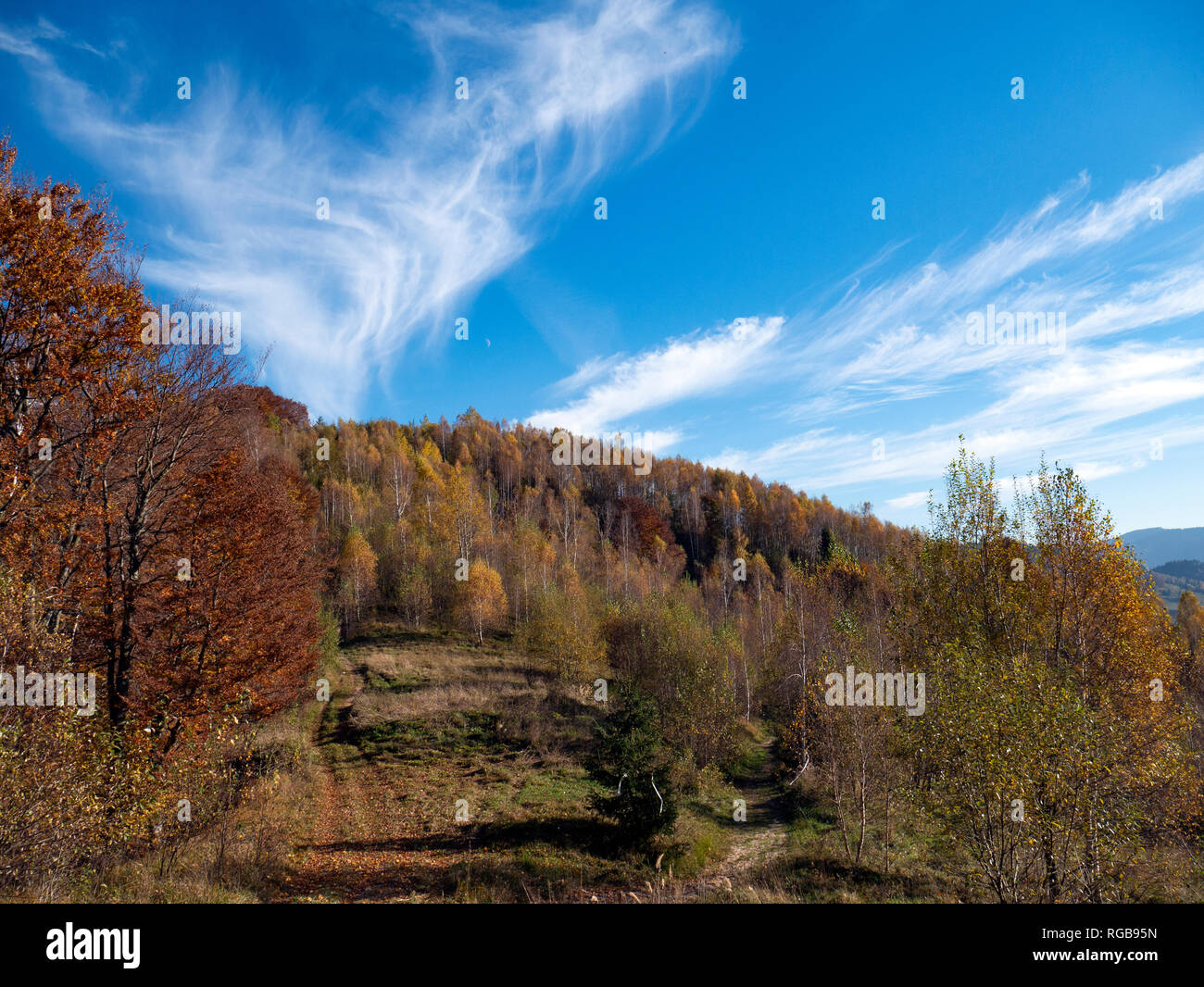 the mountain autumn landscape with colorful forest Stock Photo - Alamy