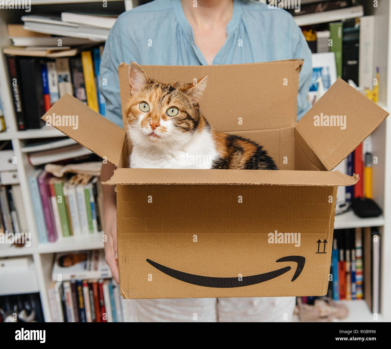 Amazon Box Cat High Resolution Stock Photography and Images - Alamy