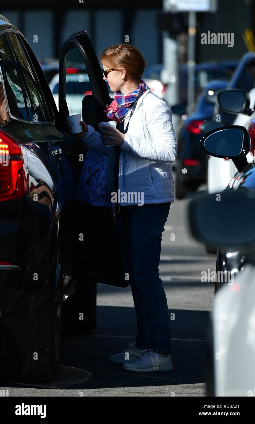 Isla Fisher grabs drinks from Alfred Coffee and gets picked up by her