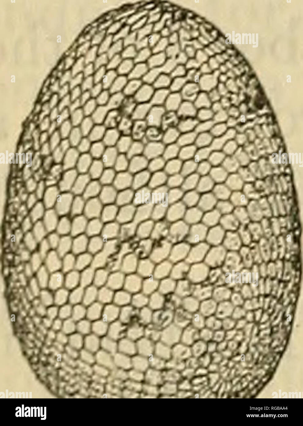 . Bulletin of the U.S. Department of Agriculture. Agriculture ...