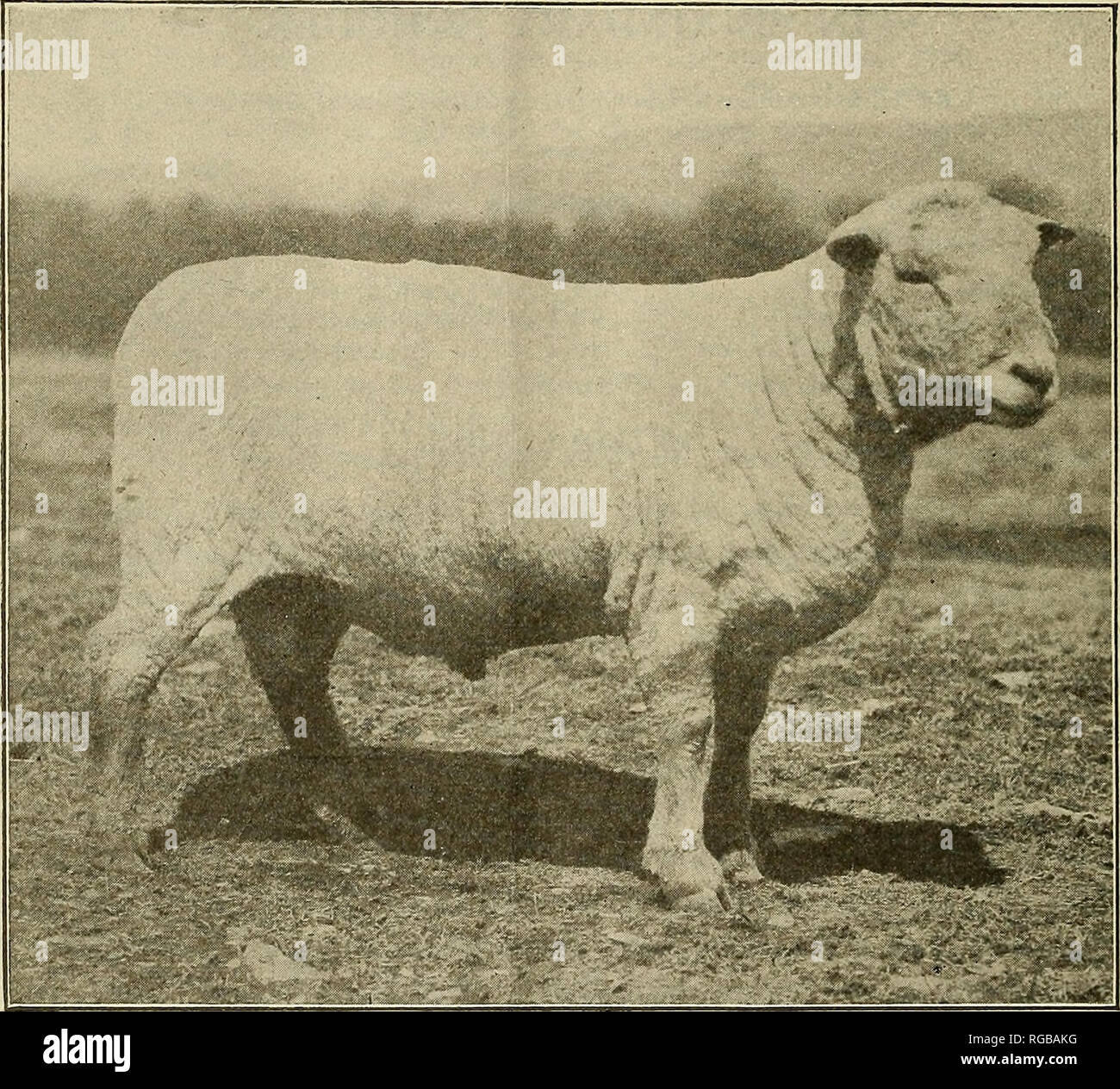 Visual teaching methods hi-res stock photography and images - Alamy