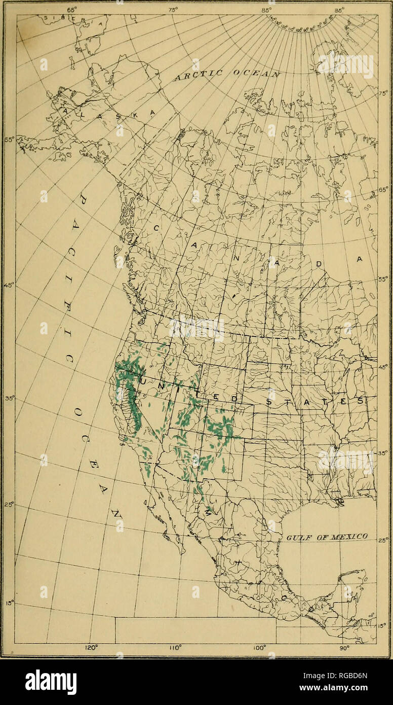 . Bulletin of the U.S. Department of Agriculture. Agriculture; Agriculture. Bui. 327, U. S Dept. o&lt; Agriculture Map No. 9. Abies Concolor: Geographic Distribution.. Please note that these images are extracted from scanned page images that may have been digitally enhanced for readability - coloration and appearance of these illustrations may not perfectly resemble the original work.. United States. Dept. of Agriculture. [Washington, D. C. ?] : The Dept. : Supt. of Docs. , G. P. O. Stock Photo