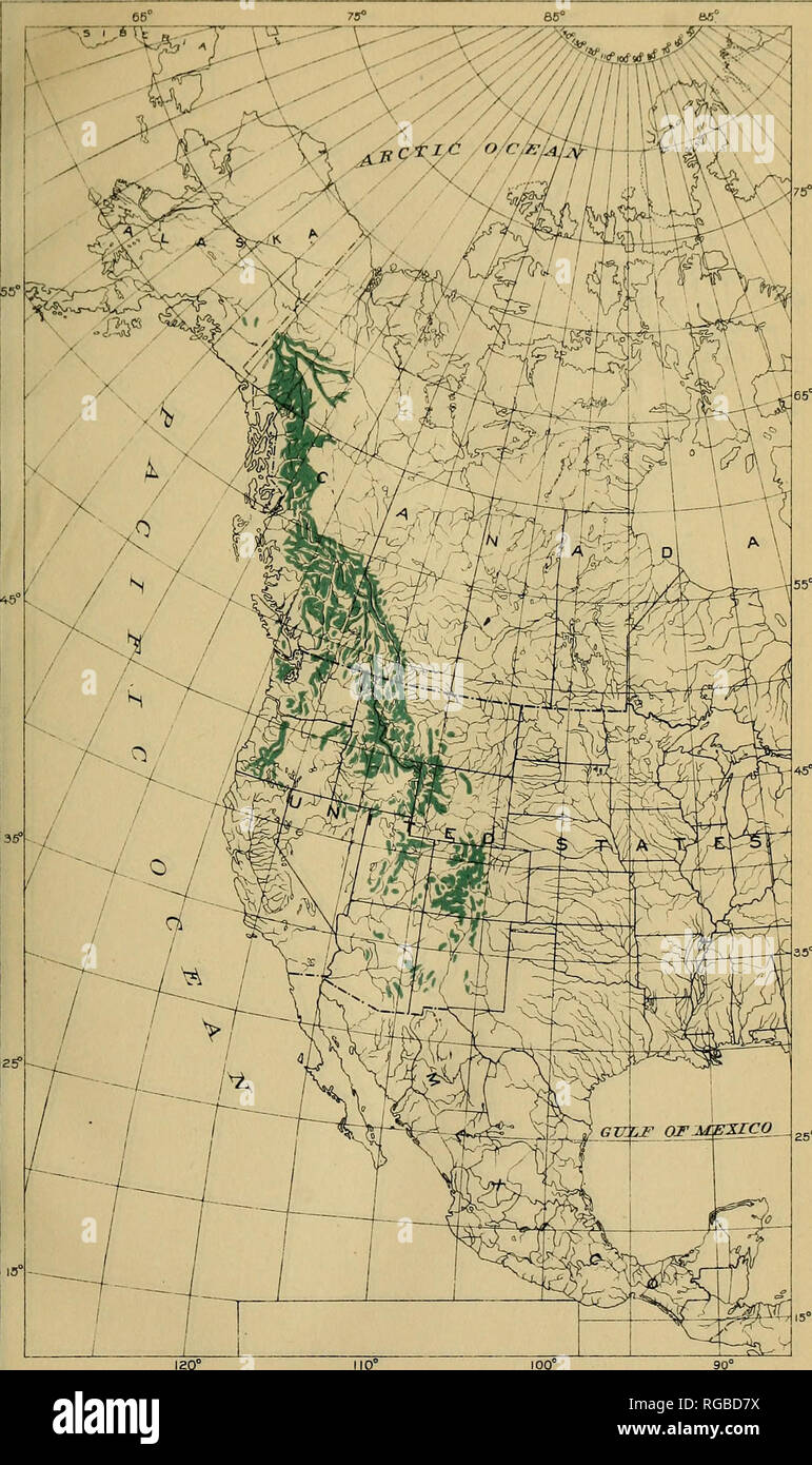 . Bulletin of the U.S. Department of Agriculture. Agriculture; Agriculture. Bui. 327, U. S Dept, of Agriculture Map No. 6. iaO° Abies Lasiocarpa: Geographic Distribution.. Please note that these images are extracted from scanned page images that may have been digitally enhanced for readability - coloration and appearance of these illustrations may not perfectly resemble the original work.. United States. Dept. of Agriculture. [Washington, D. C. ?] : The Dept. : Supt. of Docs. , G. P. O. Stock Photo