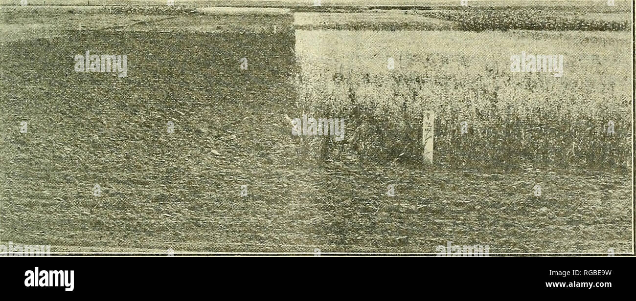Fallowed . Bulletin of the U.S. Department of Agriculture. Agriculture ...