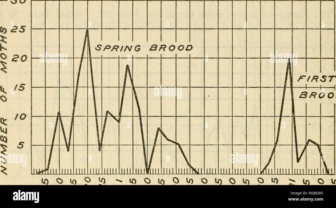 . Bulletin of the U.S. Department of Agriculture. Agriculture. 36 BULLETIN 189, U. S. DEPARTMENT OF AGBICULTURE. Table XXVIII.—Emergence of spring-brood moths of the codling moth at French Creek, W. Va., in 1913. (See fig. 21.) Date of obser- vation. Number of moths emerging. Date of obser- vation. Number of moths emerging. May 6 1 11 4 18 25 4 11 9 19 11 0 8 6 5 2 10 10. .. 13 14 17 17 20 21. 24 24 27 31 . Total 134 June 3 30. BROOD O 10 Q ^ -V -^ Cj (J A^A Y «*) OloOU)OloO'0 (Vj (j Pj V ^ (j (| JUNE JULY 0) U) VO y^ UG Fig. 21.—Diagram to illustrate emergence of spring-brood and first-b Stock Photo