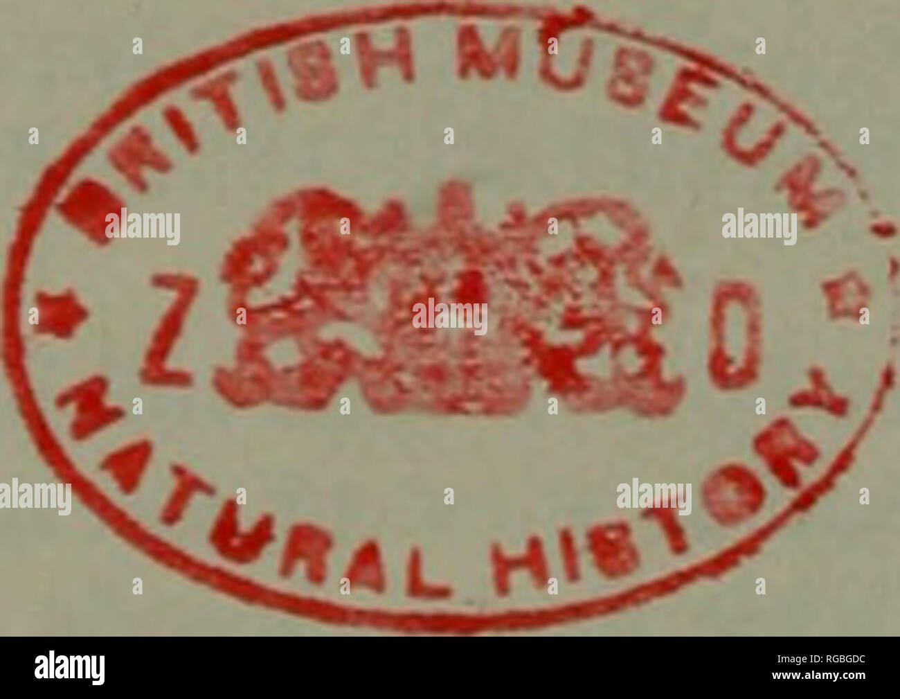 Bulletin of zoological nomenclature. 336 Bulletin of ...
