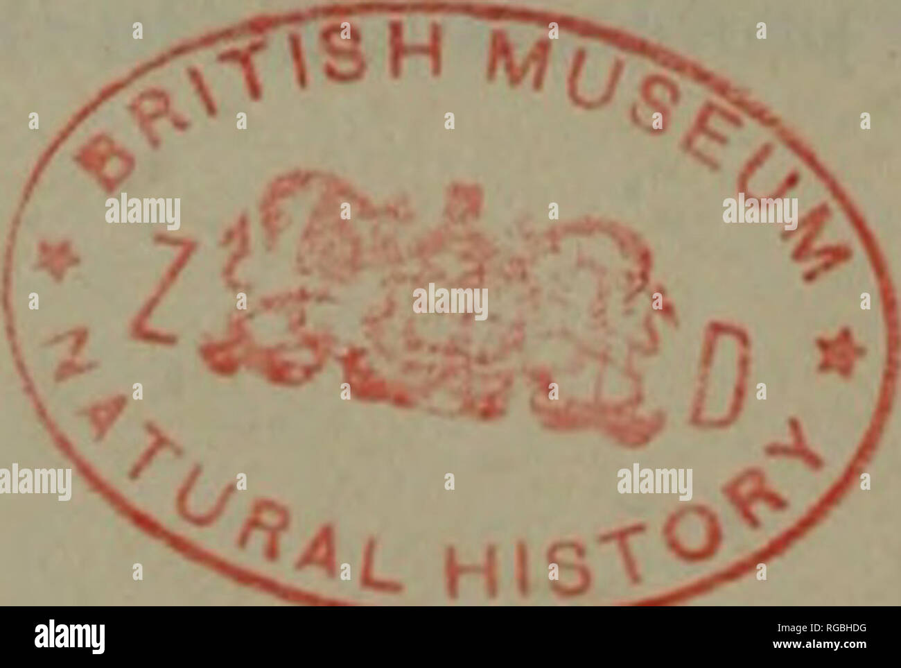 Bulletin of zoological nomenclature. 64 Bulletin of Zoological 