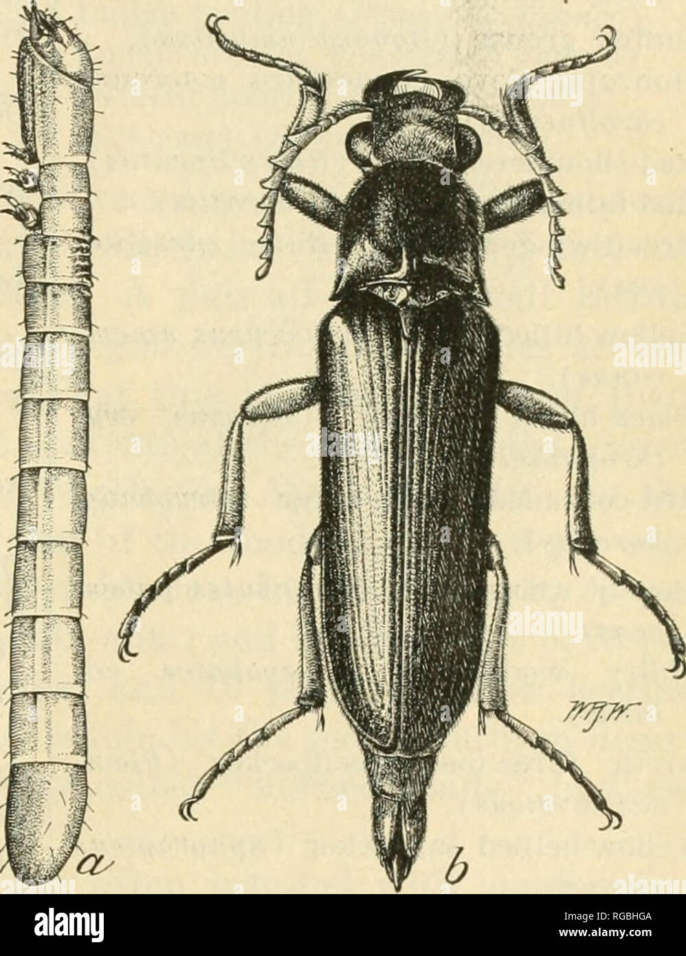 . Bulletin of the U.S. Department of Agriculture. Agriculture ...