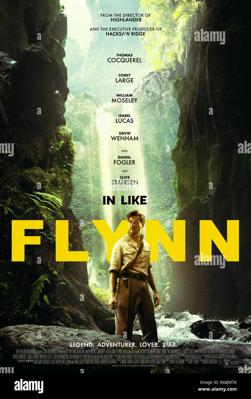 IN LIKE FLYNN US Poster Thomas Cocquerel 2018 Blue Fox 
