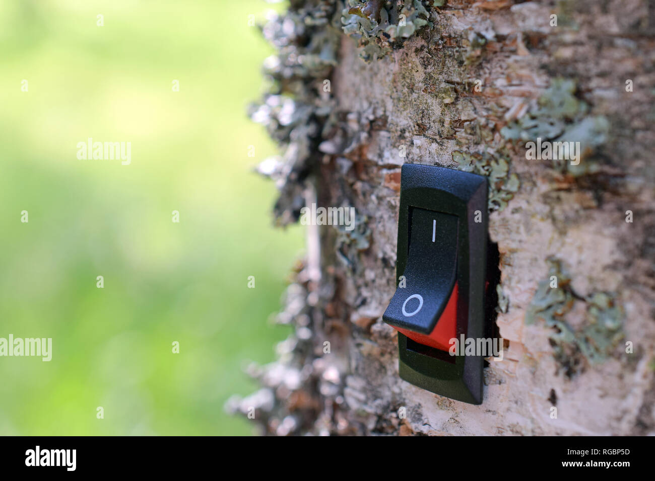 Power switch installed on tree. Concept of conservation, climate change, global warming, cleantech, green business and alternative energy. Copy space. Stock Photo