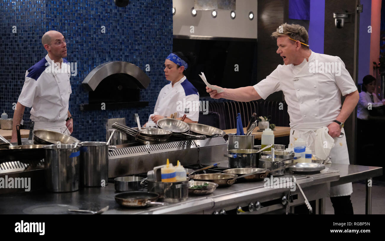 HELL'S KITCHEN, from left Trevor McGrath, Ariel ContrerasFox, Gordon