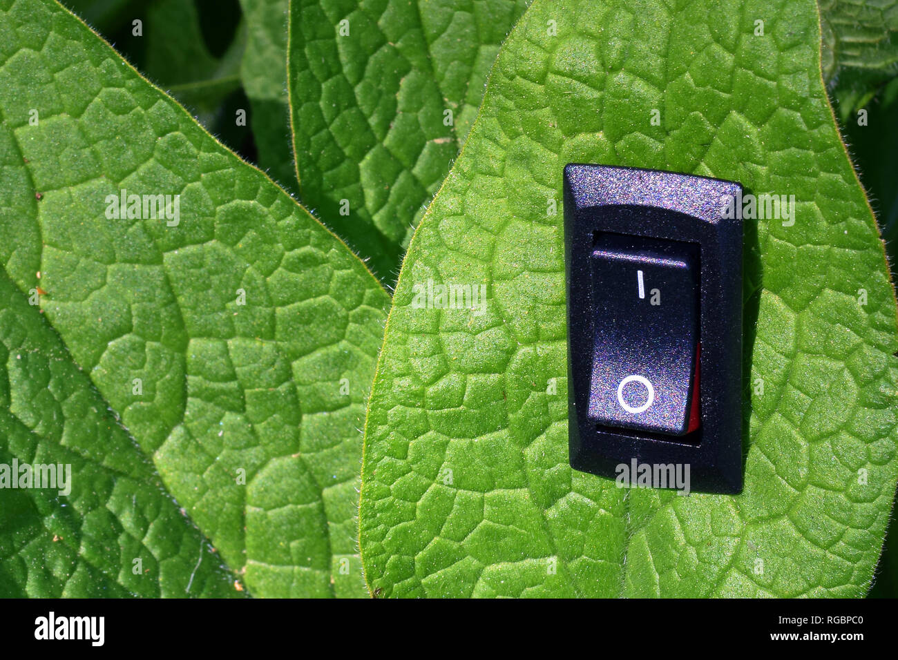 Green leaf with inserted power switch. Conceptual image of conservation, climate change, global warming, cleantech and green business. Stock Photo