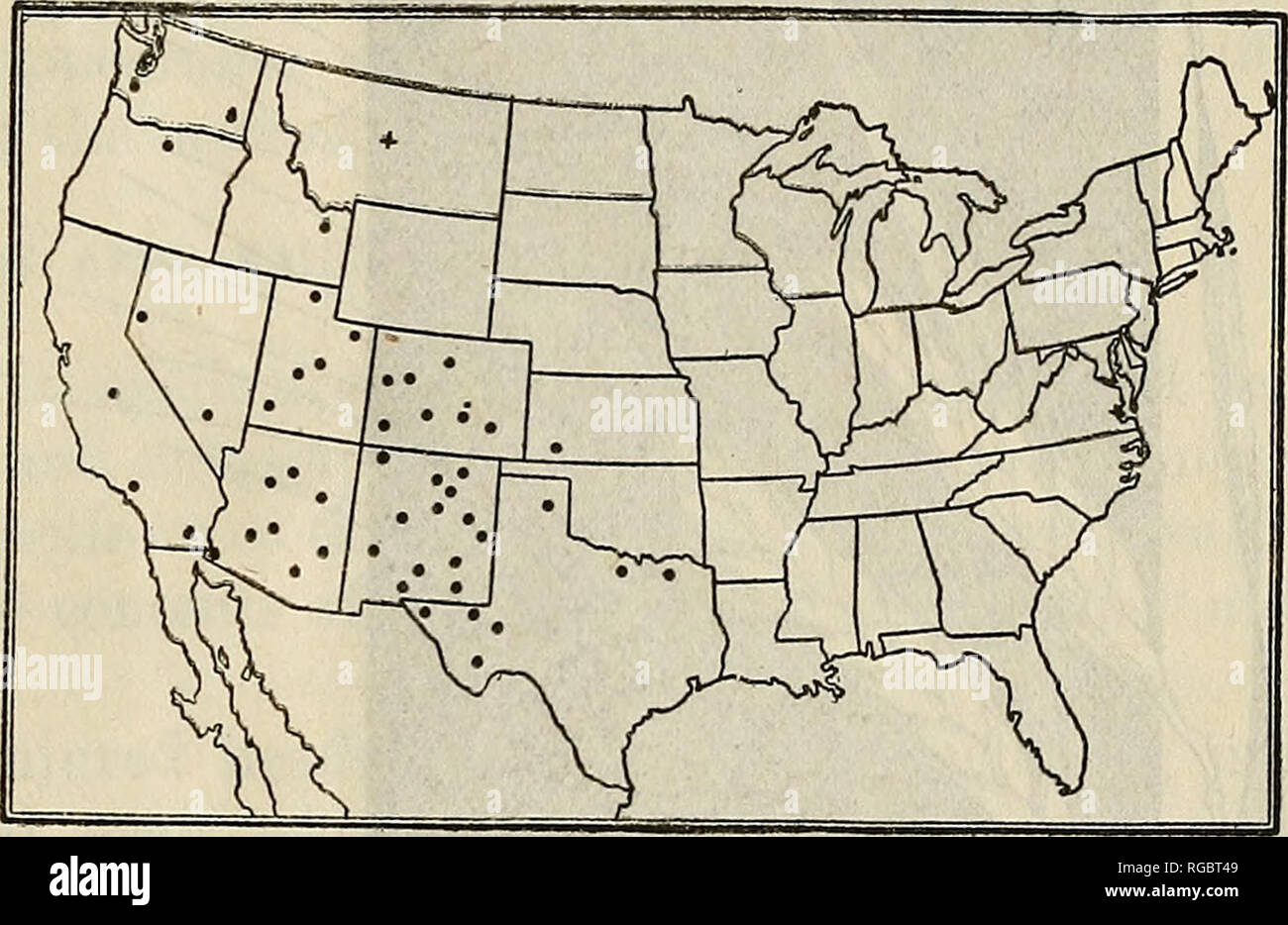 . Bulletin of the U.S. Department of Agriculture. Agriculture; Agriculture. THE GRAIN BUG. G. sayi. During this same period Mr. V. L. Wildermiith observed severe damage to milo maize in the Imperial Valley of California. In May, 1912, Mr. C. N. Ainslie received specimens of Chlorochroa sayi and accounts of injury to the heads of spring wheat from a correspondent at Tucumcari, N. Mex. Mr. Ainslie also notes that while making field investigations in Utah during 1912 the farmers in four widely separated districts of the State reported that the grain bug had seriously damaged wheat and alfalfa see Stock Photo