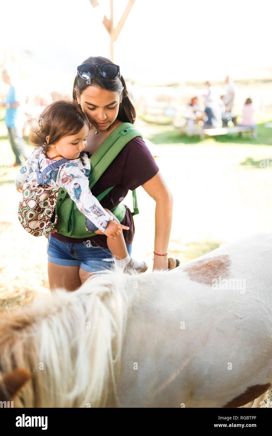 Young mother carrying baby girl in carrier while stroking pony Stock Photo