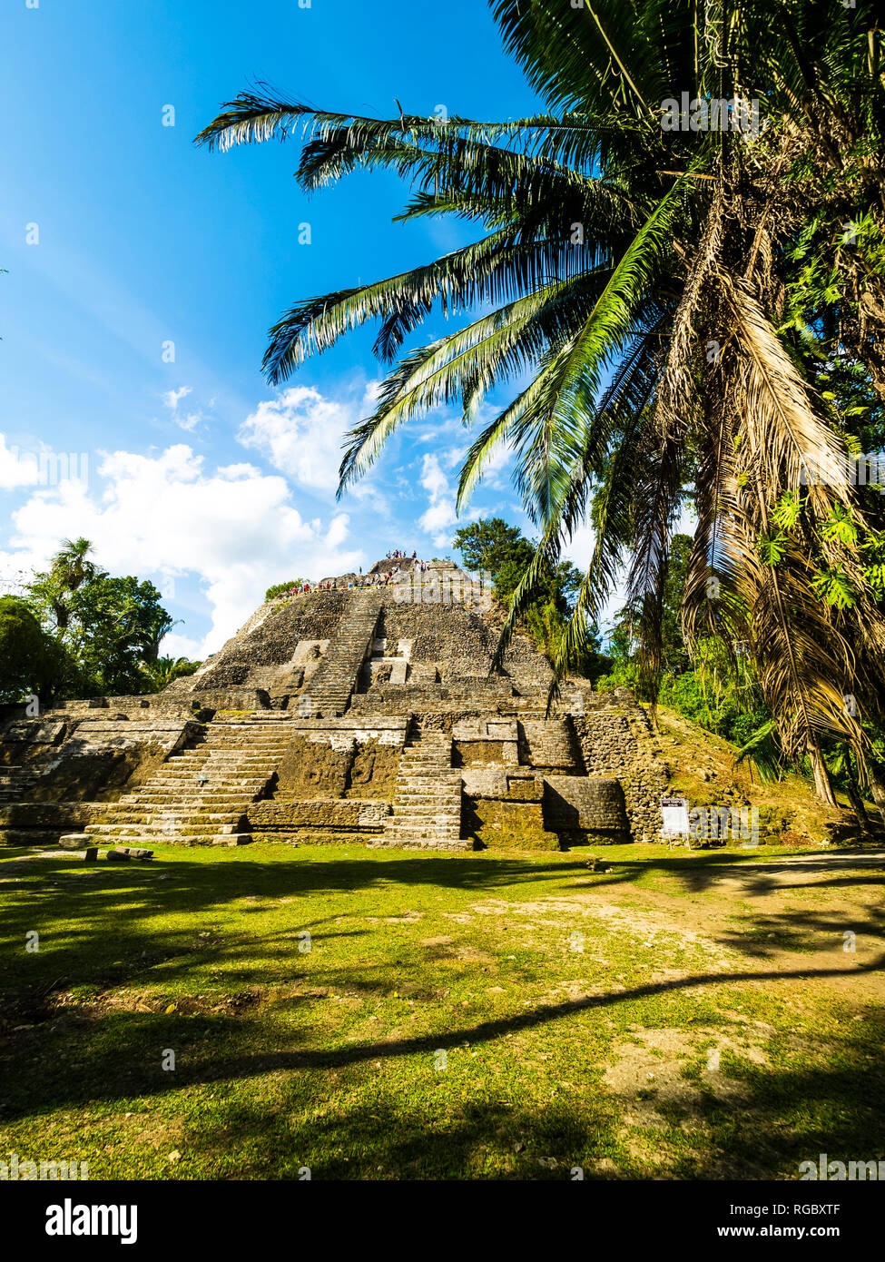 Central America, Belize, Yucatan peninsula, New River, Lamanai, Maya ruin, High Temple Stock Photo