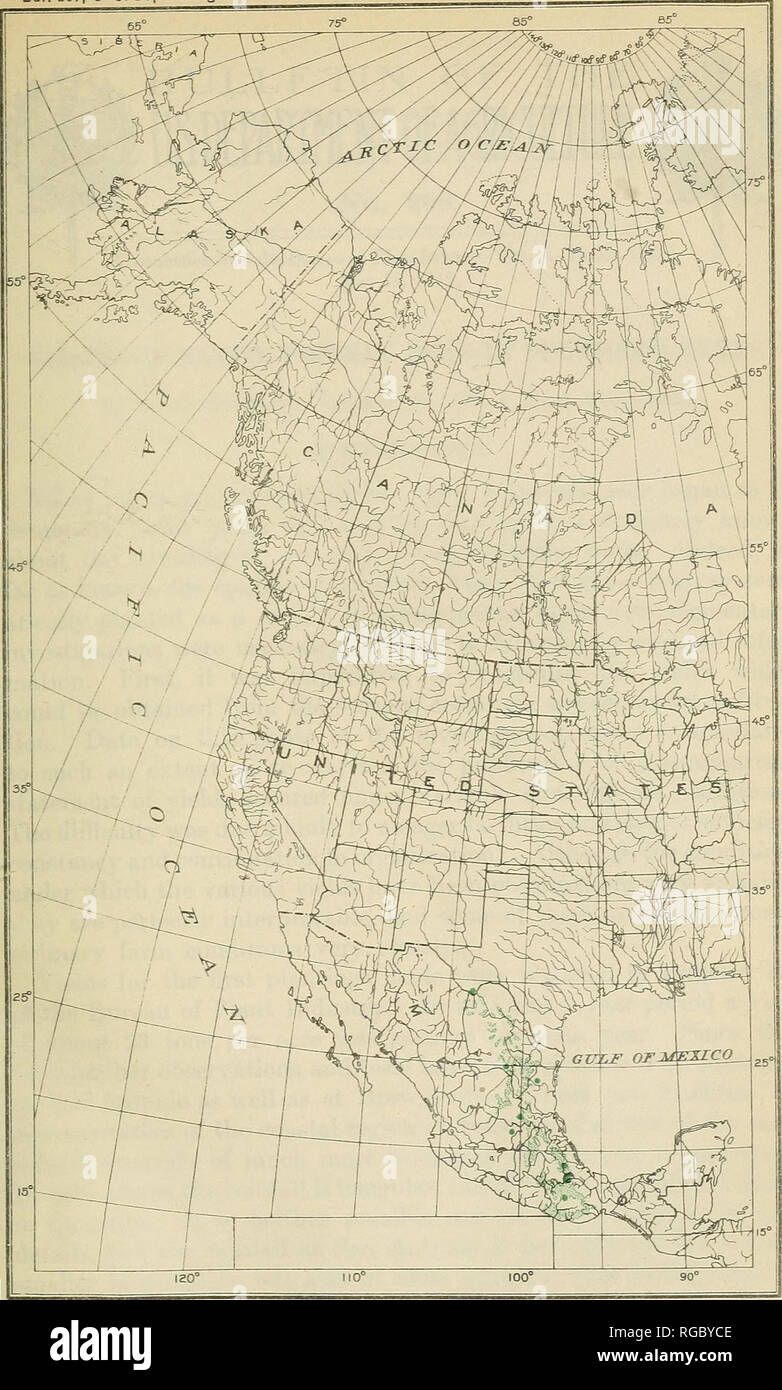 . Bulletin of the U.S. Department of Agriculture. Agriculture; Agriculture. Bui. 207, U S. Dept. of Agriculture Map No. 11. JUNIPERUS FLACCIDA: GEOGRAPHIC DISTRIBUTION. [The distribution shown in Mexico by hatched areas is based on reported occurrences not yet verified; solid dots show localities where specimens of this species have been collected.]. Please note that these images are extracted from scanned page images that may have been digitally enhanced for readability - coloration and appearance of these illustrations may not perfectly resemble the original work.. United States. Dept. of Ag Stock Photo