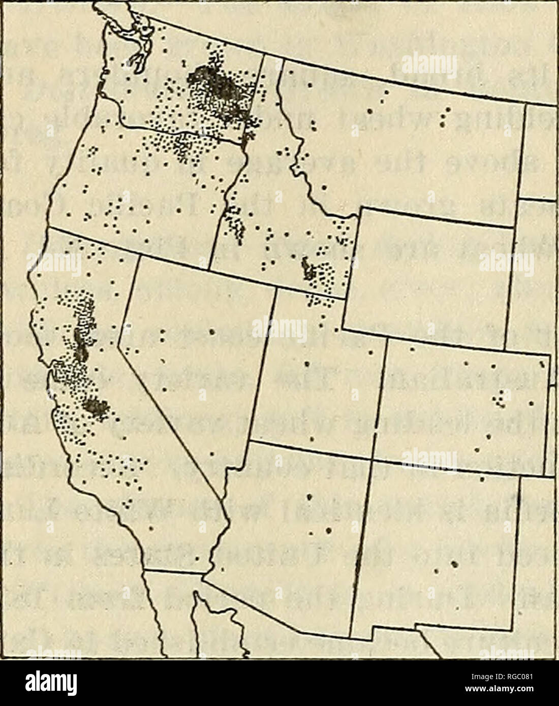 . Bulletin of the U.S. Department of Agriculture. Agriculture; Agriculture. 66 BULLETIN 1074, U. S. DEPARTMENT OF AGRICULTURE. until recent years it has been the principal spring Avheat grown in the so-called &quot; Inland Empire.&quot; Distribution.âGrown as Bluestem in Ar.'zona, California, Colorado, Idaho, Montana, New Mexico, Nevada, Oregon, Utah, and Washington. The distribu- tion is shown in Figure 21. Synonyms.âAustralian, Bluestem, Chile, Palouse Bluestem, White Australian, White Bluestem, White Chile, White Elliott, and White Lammas. As indicated above, Australian, Bluestem,' White Au Stock Photo