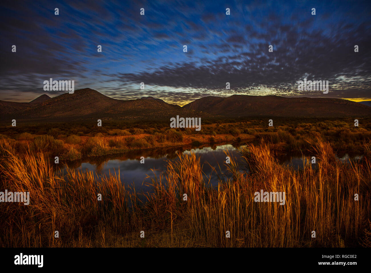 Grasses of south africa hi-res stock photography and images - Alamy