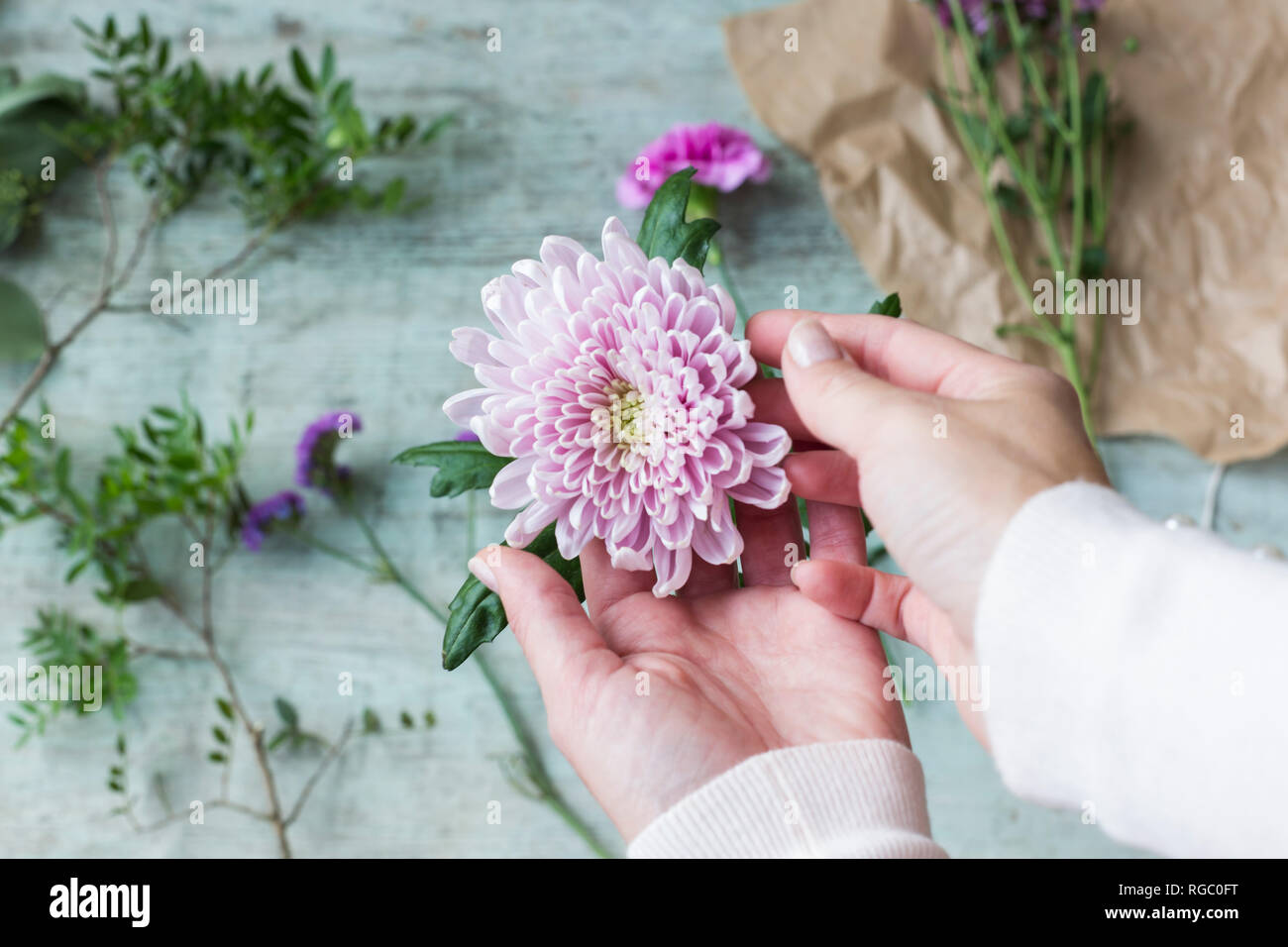 Woman's hands holding pink flower head Stock Photo