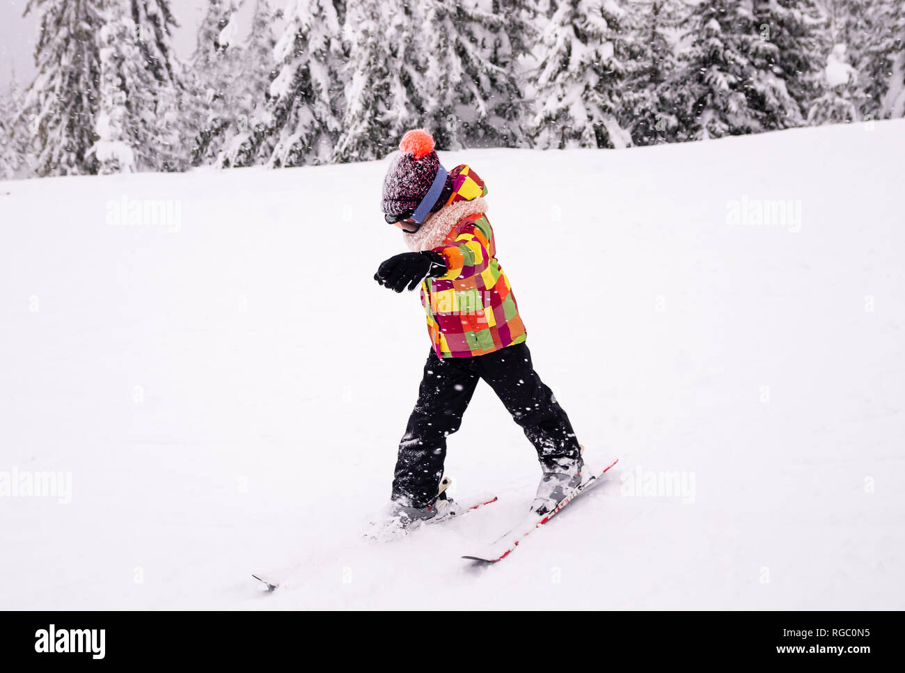A little boy learn downhill skiing. Kid in ski school. Winter sport for kids. Stock Photo