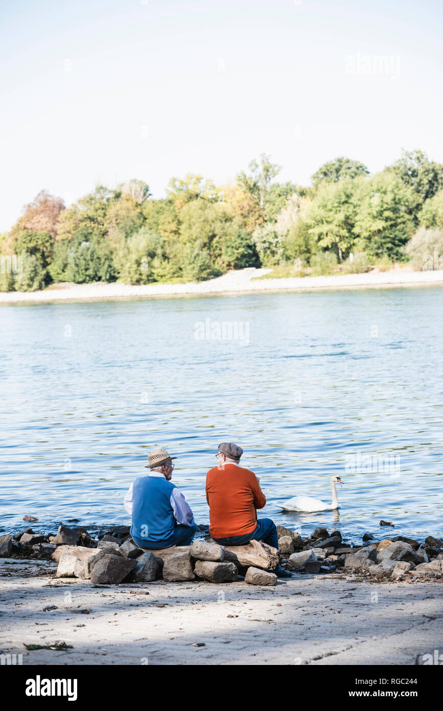 Two old friends sitting by the river side, watching swans Stock Photo