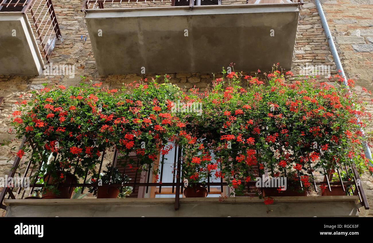 Balcony Geraniums Italy High Resolution Stock Photography And Images Alamy