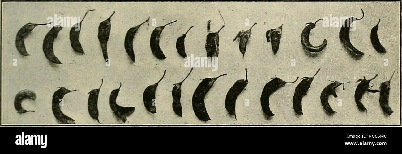 . Bulletin of the U.S. Department of Agriculture. Agriculture