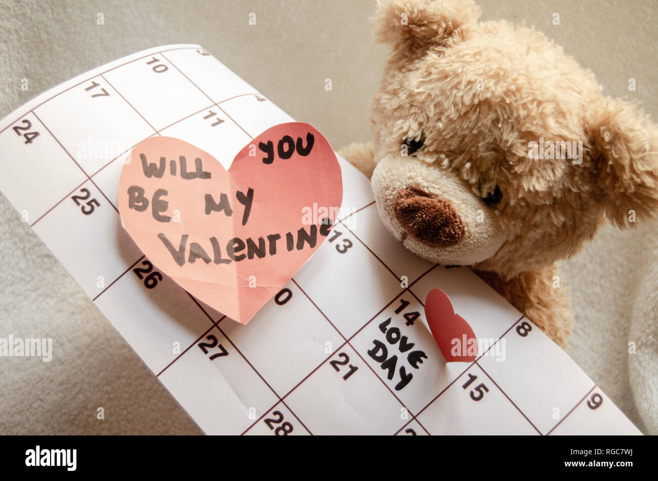 teddy bear day in february