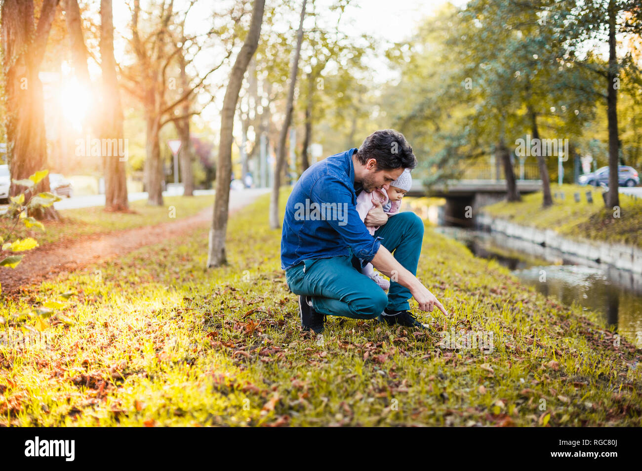 Father searching for chestnuts in park, with baby daughter on his lap Stock Photo