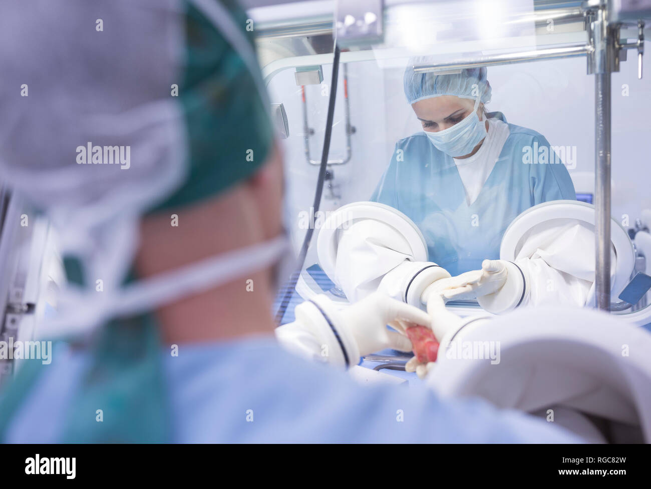Scientists processing human tissue in insulator laboratory Stock Photo