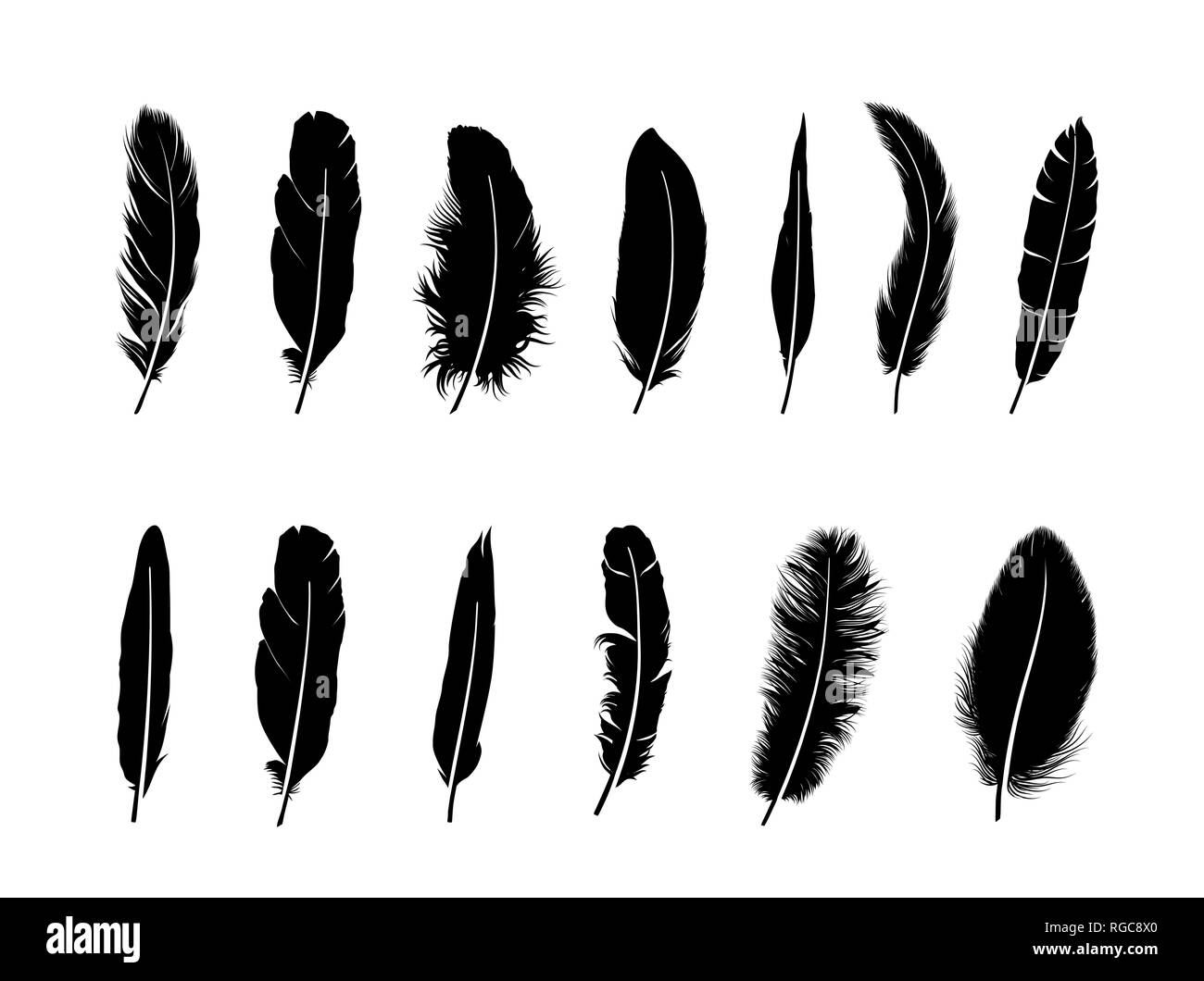 Feather set. Drawn illustration of different  birds feathers isolated over white background Stock Vector