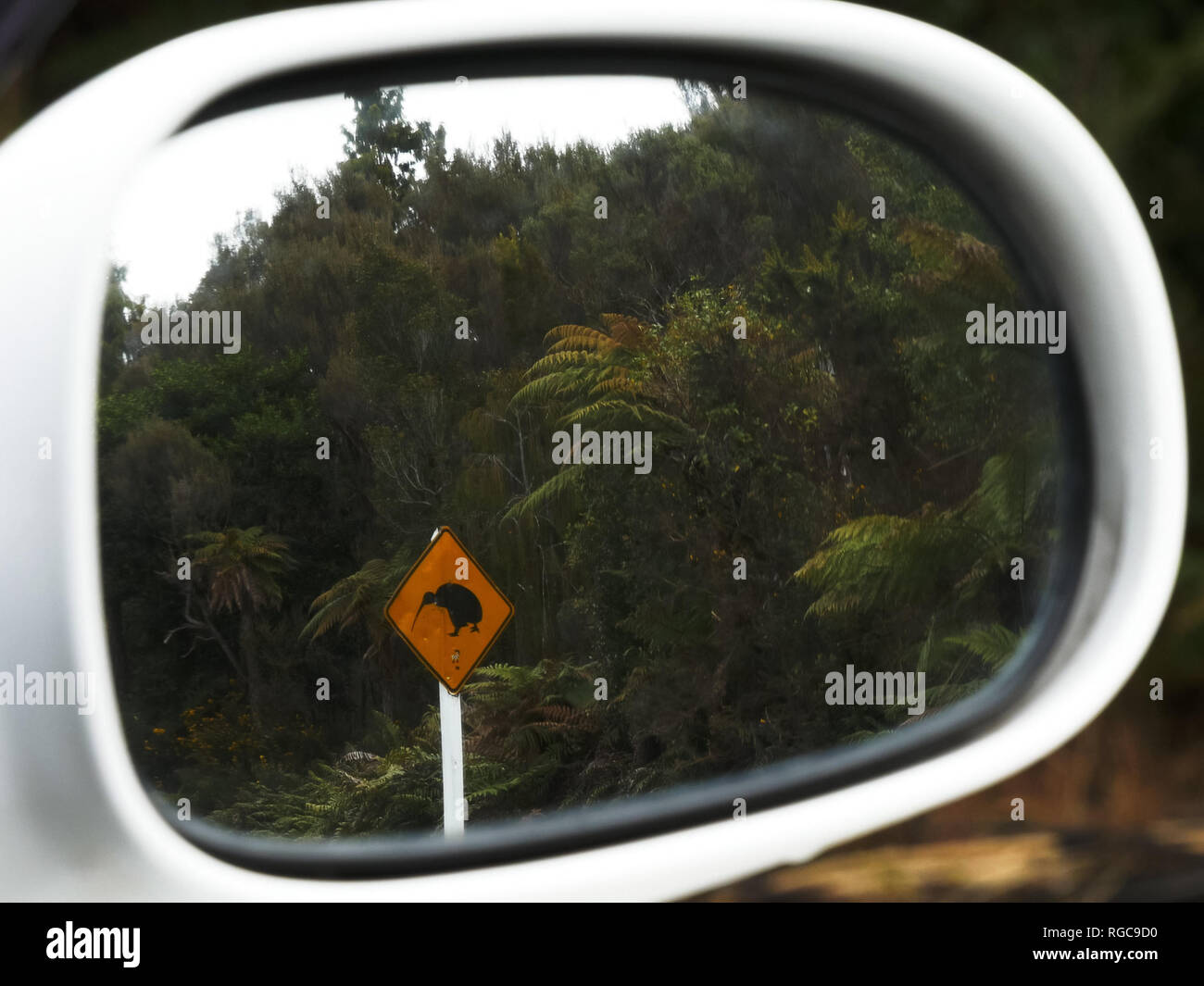 shot of a kiwi road sign reflected in a car mirror in new zealand Stock Photo