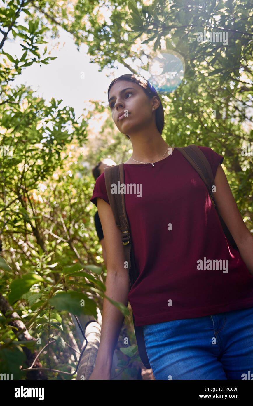 Spain, Canary Islands, La Palma, female hiker in a forest looking around Stock Photo