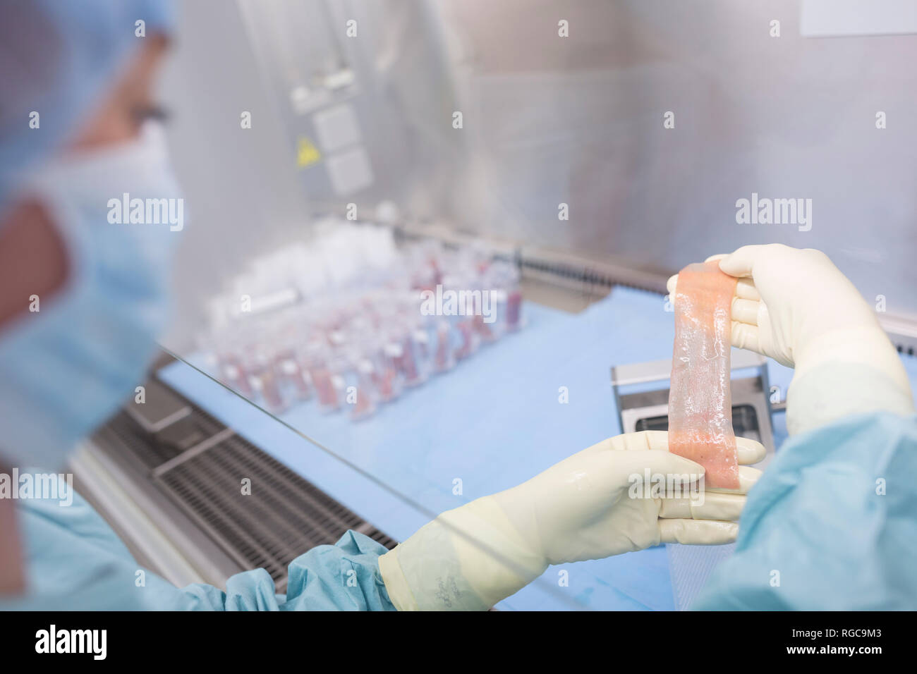 Scientist processing skin graft in laboratory Stock Photo