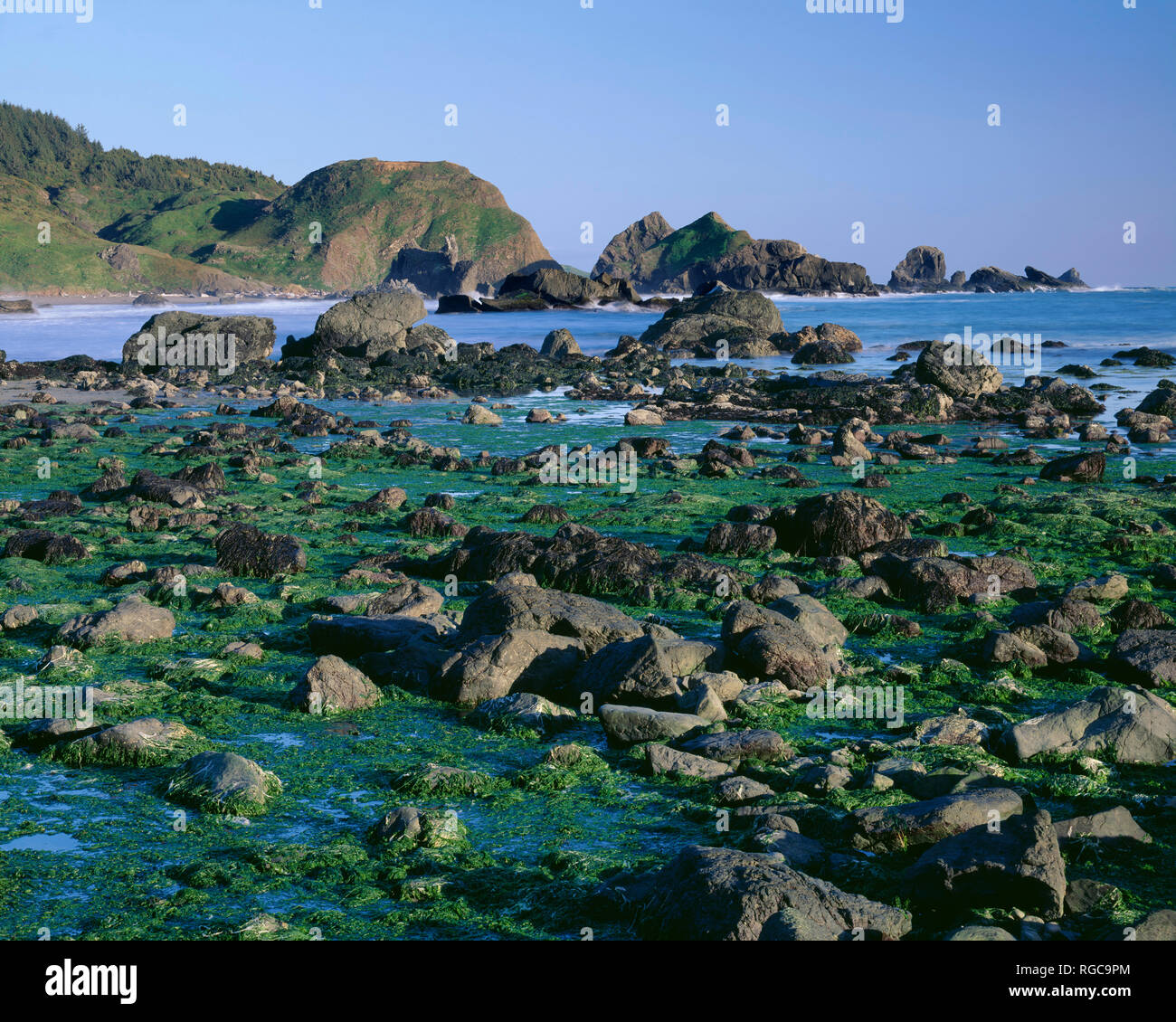 Lone Ranch Beach USA, Oregon, Samuel Boardman State Park, Extensive intertidal area is ...