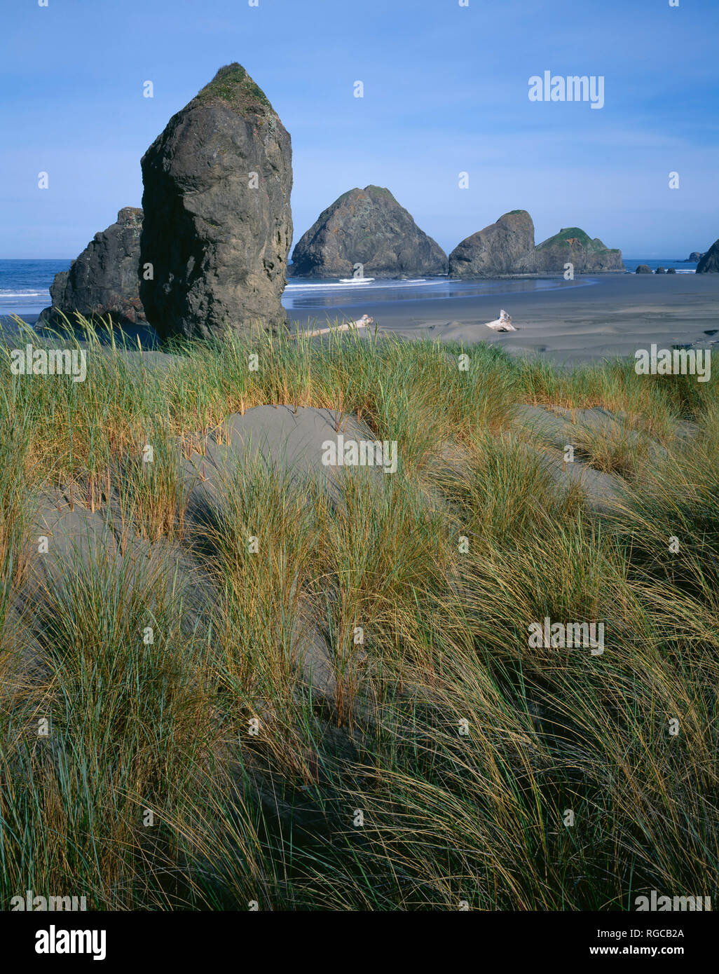 USA, Oregon, Pistol River State Park, Basalt sea stacks overlook beach