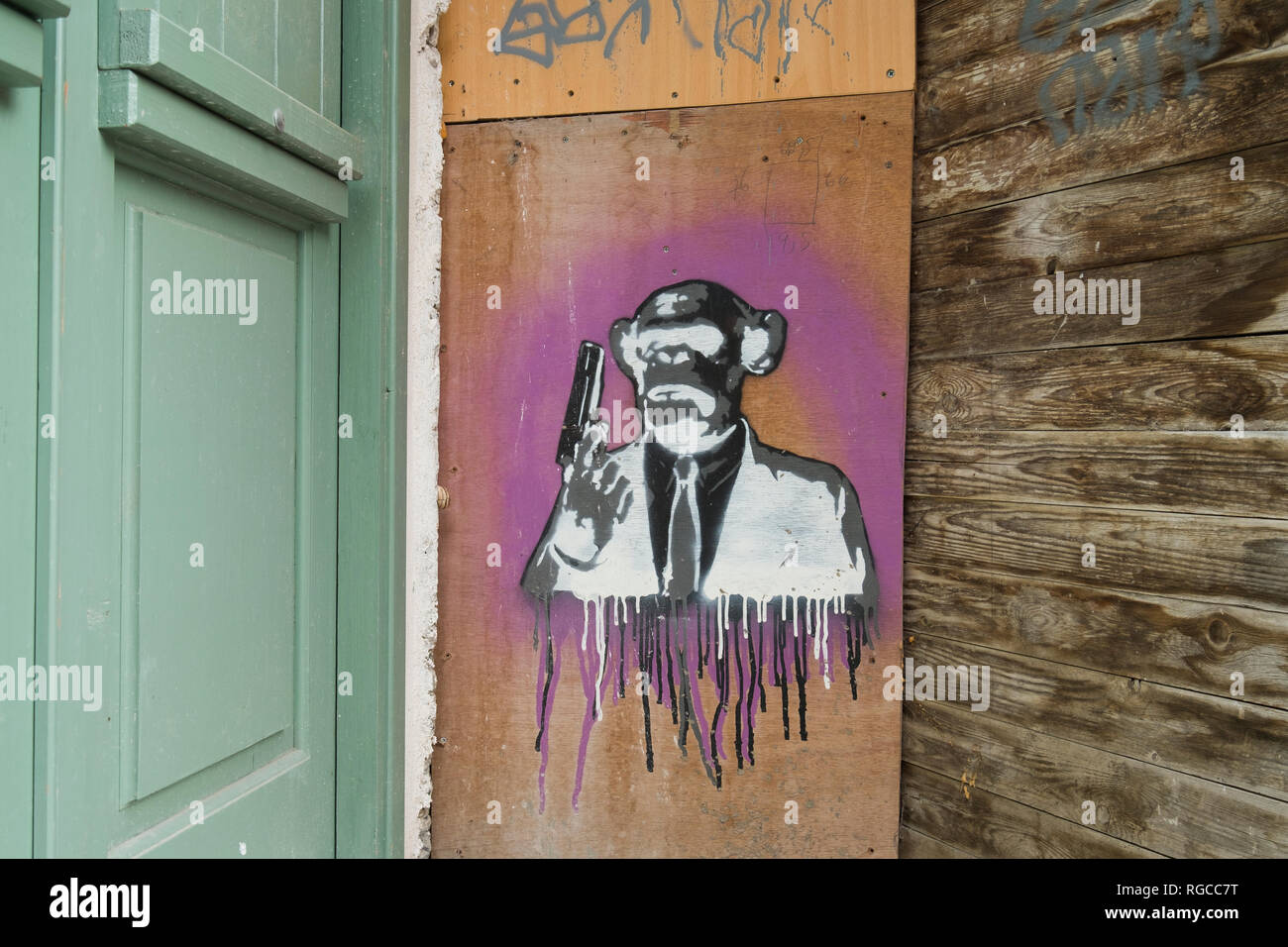 Monkey graffiti on a wall in Nicosia,Cyprus. Stock Photo
