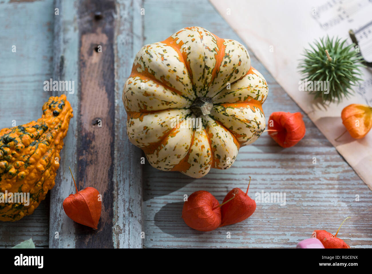 Autumnal decoration with two ornamental pumpkins and Chinese lanterns Stock Photo