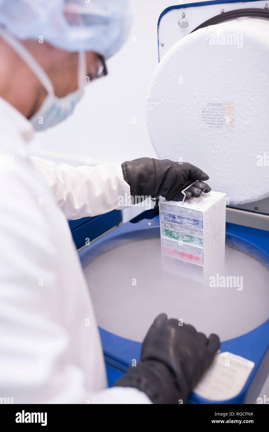 Scientist in lab storing biological material in cryo store Stock Photo