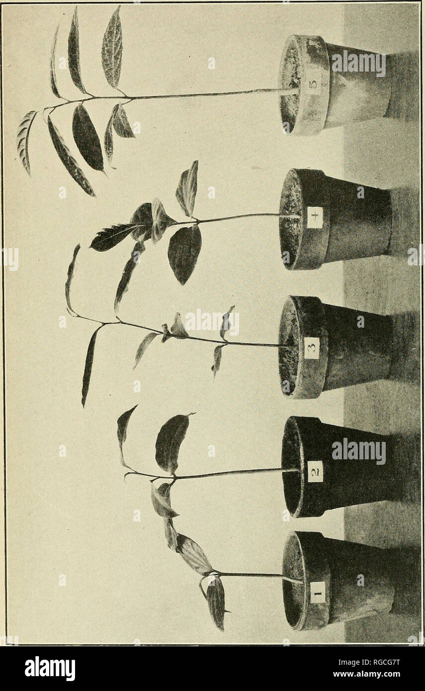 Page 399 M T O High Resolution Stock Photography And Images Alamy